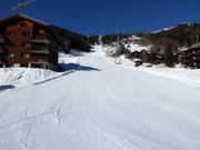 Dalafdaling Foret naar Grimentz