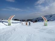 Tip voor de kleintjes 