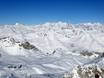 Adamello-Presanella Alpen: Grootte van de skigebieden – Grootte Ponte di Legno/​Tonale/​Presena-gletsjer/​Temù (Pontedilegno-Tonale)
