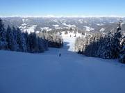 Zwarte Grebenzenschuss