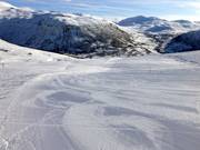 Gemakkelijke afdaling Myrkdalsløypo