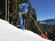 Modernste sneeuwkanon en lans