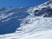 Uitzicht op de skiroute Standard