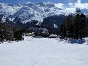 Beginnersgebied in Suvretta