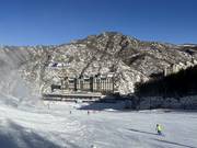 Dalafdaling in Wanlong