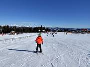 Gemakkelijke piste bij de oefenlift (sleepkabel)