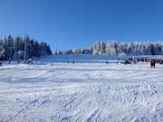 Gemakkelijke piste bij de Kirchenlift