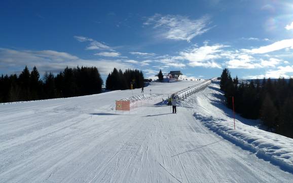 Skigebieden voor beginners in de provincie Vicenza – Beginners Folgaria/Fiorentini