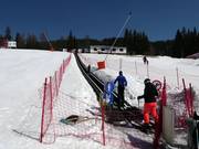 #11 Malina - Transportband