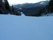 Geprepareerde piste in Jasná