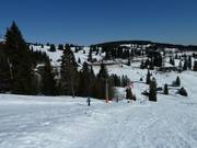 Zeller II - Sleeplift met T-beugel/Ankerlift