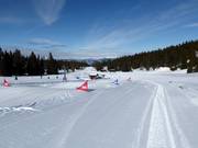 Tip voor de kleintjes 