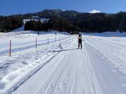 Sammer - Sleeplift/babyllift