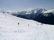 Tortue - Pannenkoeklift