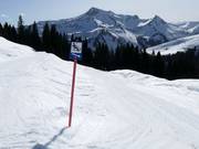 Tip voor de kleintjes 