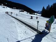 Bunny Express 1 - Transportband/Moving Carpet