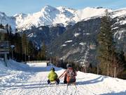 Tip voor de kleintjes  - Rodelbaan