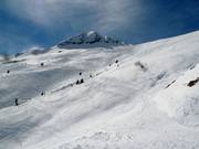 Oneindige poedersneeuwhellingen