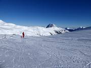 De Wildkogel-Arena met uitzicht op de Rettenstein