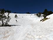 Skiroute in de Freeride Area