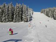 Rittisberglift - Sleeplift met T-beugel/Ankerlift