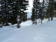 Family Fun Zone "The Horse Play Corral"