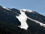 Bosafdalingen in de sectoren Soldeu en El Tarter