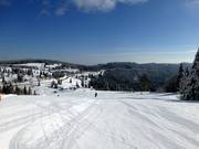 Sprookjesachtig besneeuwd landschap op de Feldberg