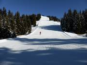 Panorama-afdaling nr. 1