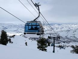 Strawberry Express Gondola