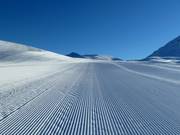 Eersteklas pistepreparatie