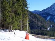 Lanzenbesneeuwing bij de Wurzerafdalingen