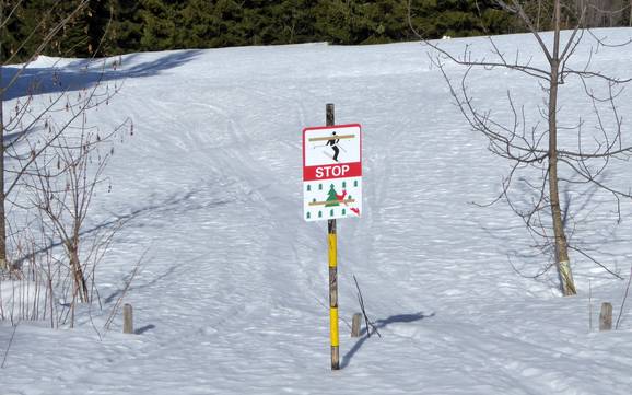 Gstaad: milieuvriendelijkheid van de skigebieden – Milieuvriendelijkheid Rinderberg/Saanerslochgrat/Horneggli – Zweisimmen/Saanenmöser/Schönried/St. Stephan