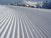 Verse ribbels in de sneeuw