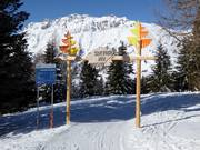 Sentiero nel Bosco (bosafdaling)