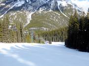 Gemakkelijke piste EDge Hunter