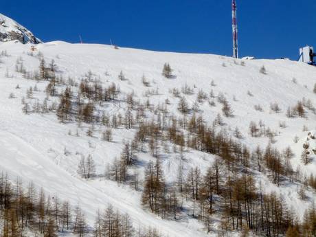 Skigebieden voor gevorderden en off-piste skiërs Alpes-Maritimes – Gevorderden, off-piste skiërs Auron (Saint-Etienne-de-Tinée)