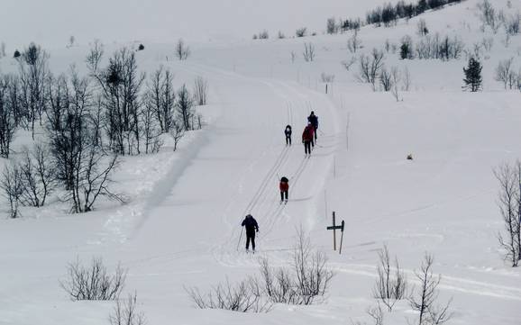 Langlaufen Valdres – Langlaufen Beitostølen