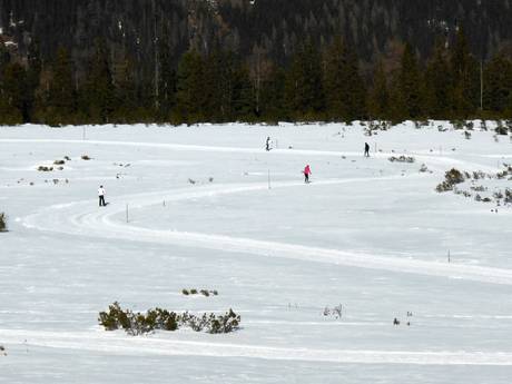 Langlaufen Zillertal – Langlaufen Zillertal Arena – Zell am Ziller/Gerlos/Königsleiten/Hochkrimml