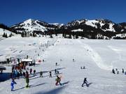 Oefenweide bij de Wedelliften