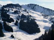 Uitzicht op de pistes Ranfolly in Les Gets