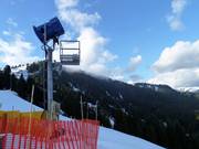 Sneeuwkanon op de Grouse Mountain