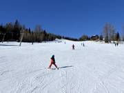 Makkelijke pistes bij de Zirbenlift 2