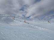 Moeilijke piste Race Arena