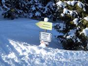 Mörsbachalm – Vrij skigebied