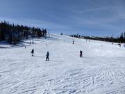 Gemakkelijke en brede piste Familjebacken in Hundfjället