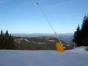 Lanzenbesneeuwing in Jahorina