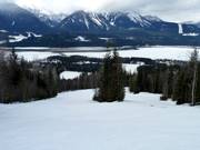 Afdaling Devil's Club