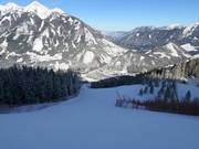 Worldcuppiste Hannes Trinkl