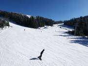 Pistes Aida en Milena